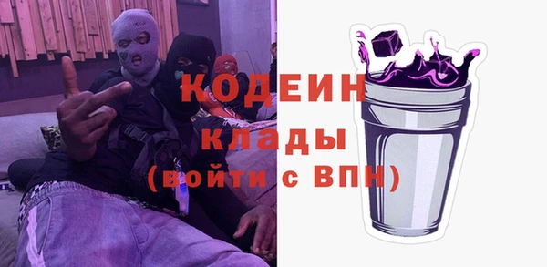 гашик Алексин