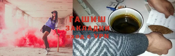 гашик Алексин