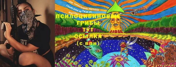 соль курить ск Алзамай