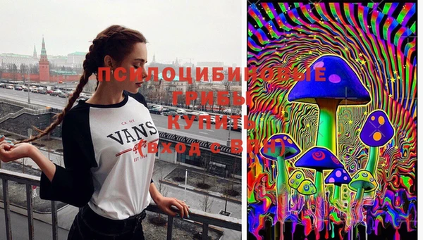 соль курить ск Алзамай