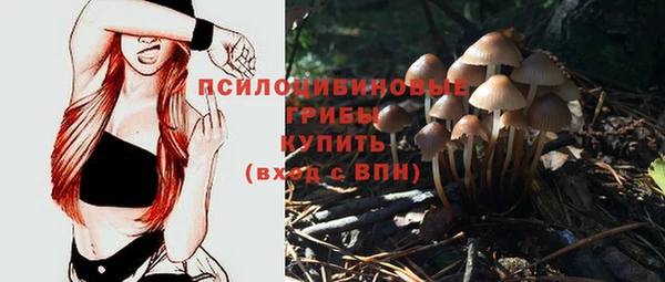 ГАЛЛЮЦИНОГЕННЫЕ ГРИБЫ Абдулино