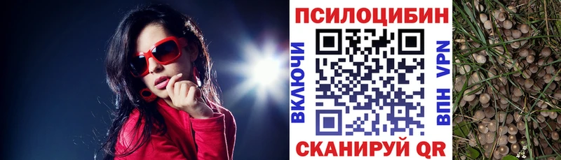 Псилоцибиновые грибы Magic Shrooms  Лабинск 